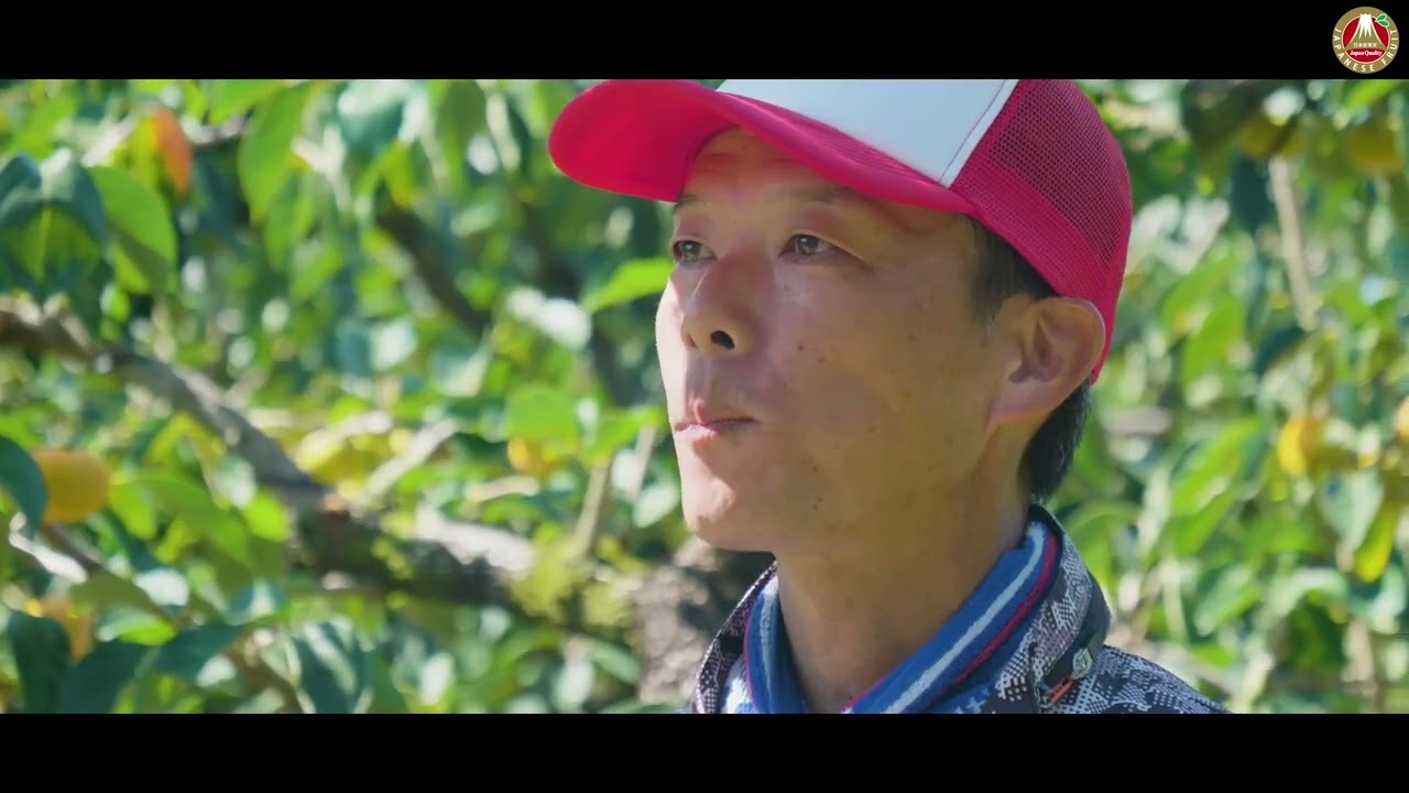 日本のかきが届くまで From 和歌山県農業協同組合連合会