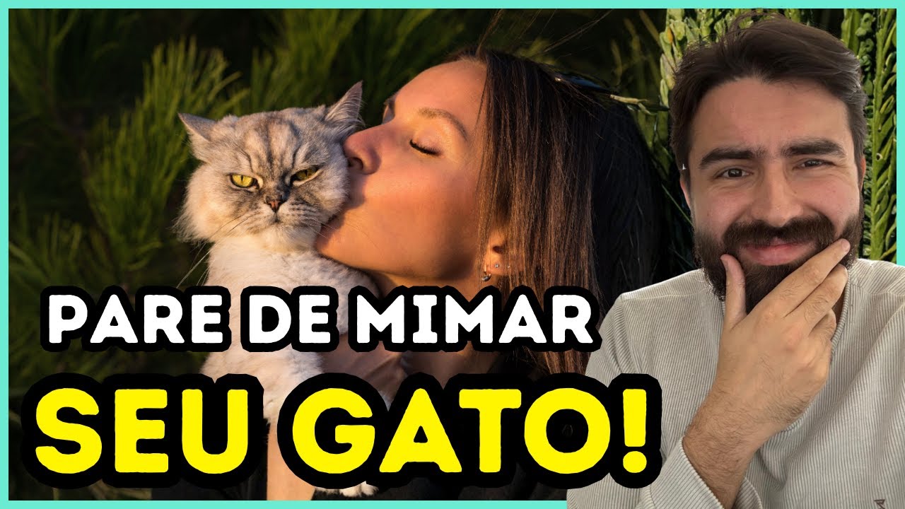 Se Você Mima o Seu Gato ASSIM, Você Está Cometendo Um GRANDE ERRO!