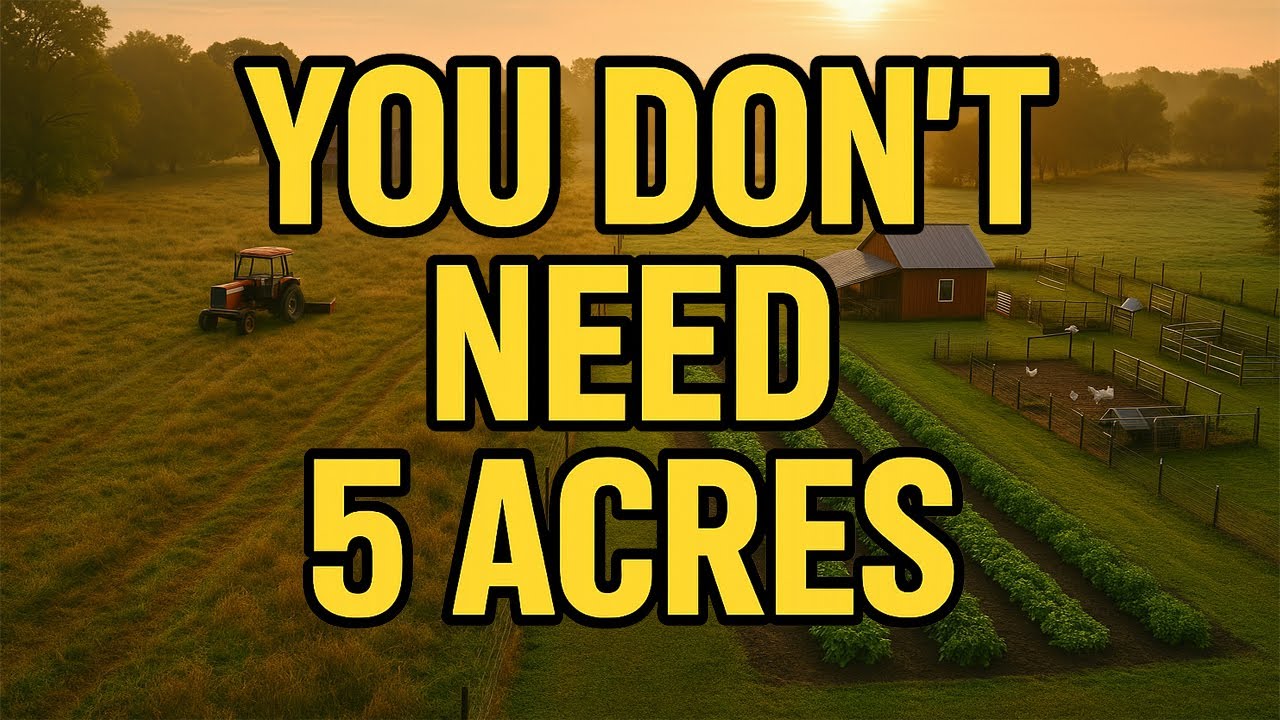 How Much Land You REALLY Need to Homestead