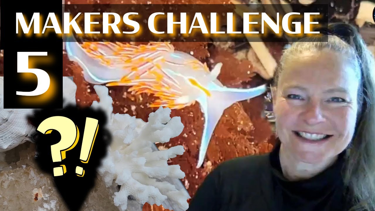 Agate, Sunstone, Coral Creation??? Makers Challenge 5! #makerschallenge5