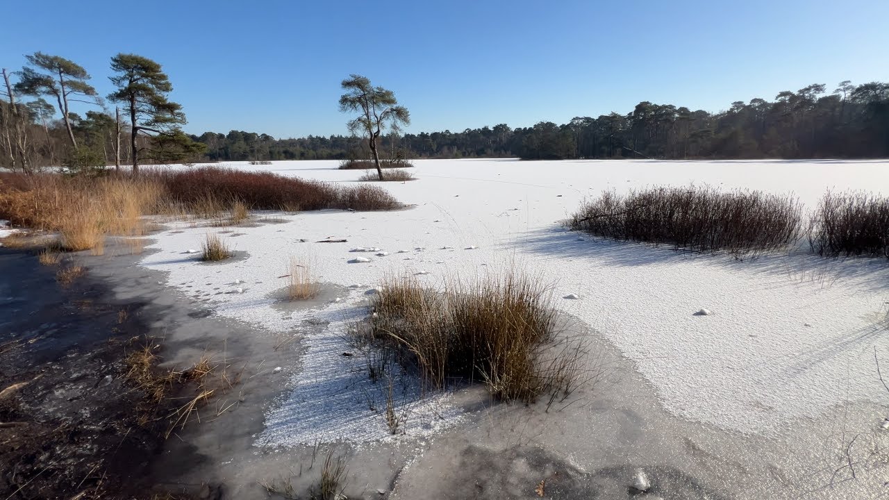 Natuurwandeling Oisterwijkse Bossen en Vennen