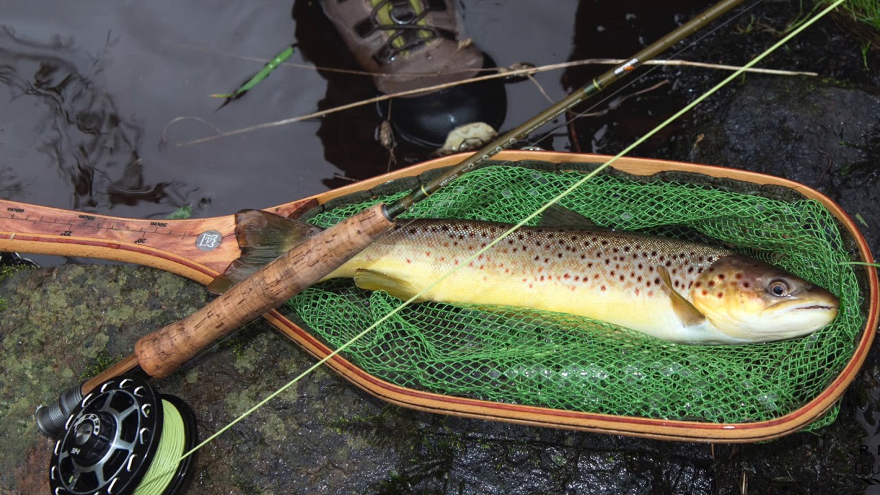 Sea Trout Angling on the Dennet River, Co Tyrone