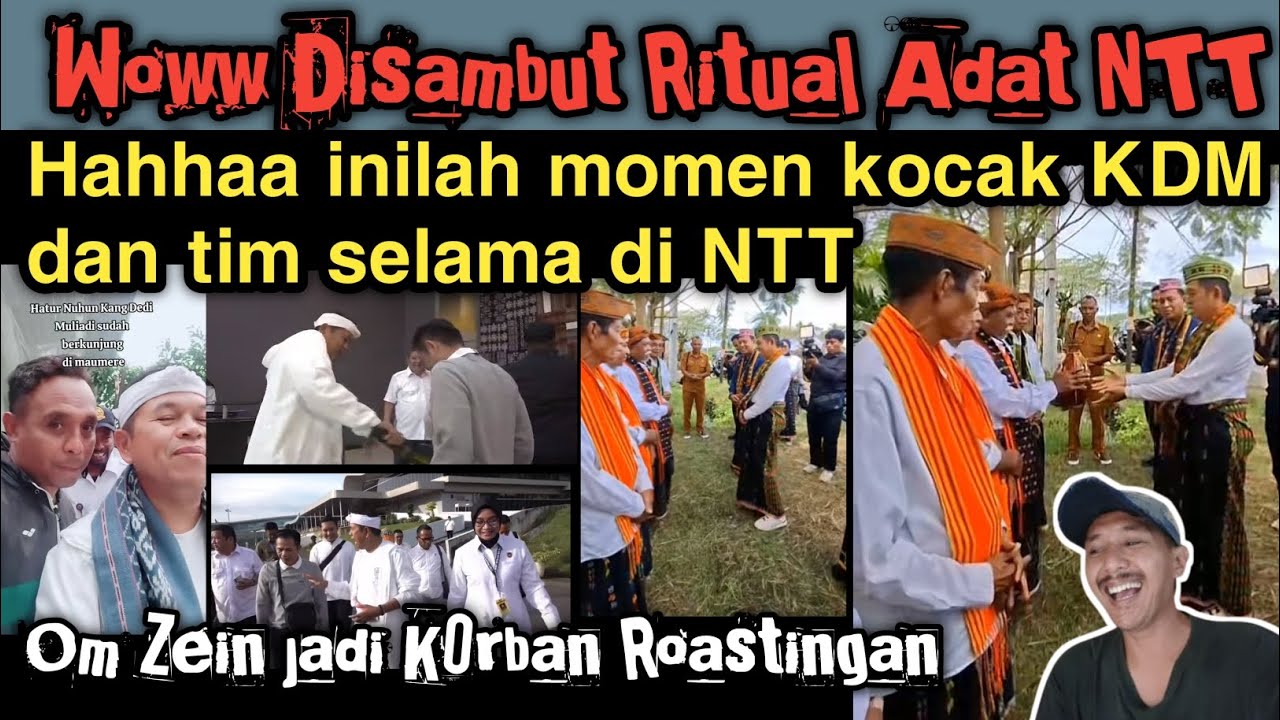 Kocak! KDM disahkan secara adat Manggarai, momen ngakak KDM n Tim selama di NTT😂