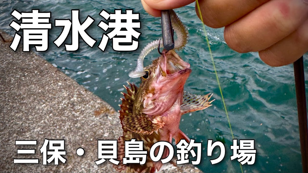 【清水港の釣り】三保貝島でカサゴ、オオモンハタを釣る！