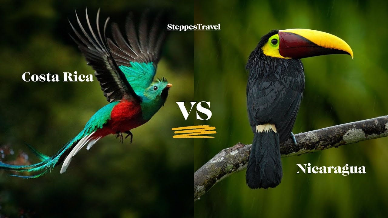 Costa Rica and Nicaragua compared: similarities, differences and the best fit for you