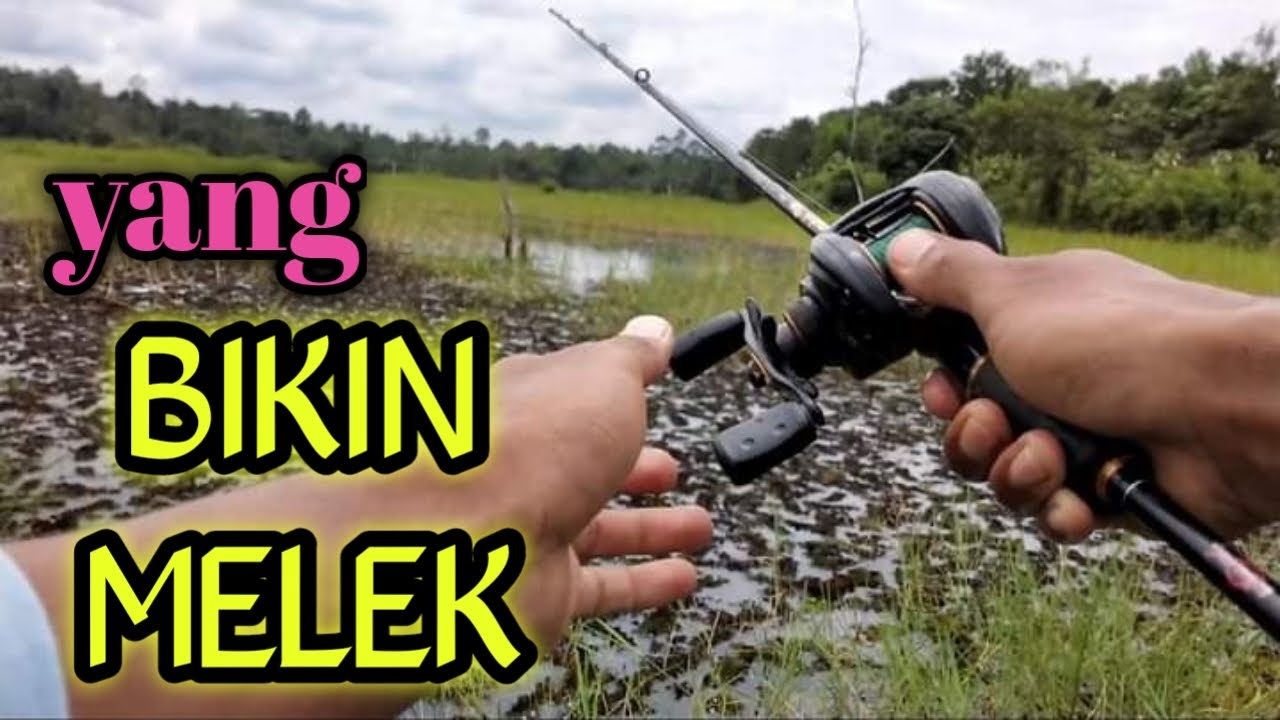 casting snake head🔴SAMBARAN YANG MEMBUAT CASTINGERS GAK BISA TIDUR #33