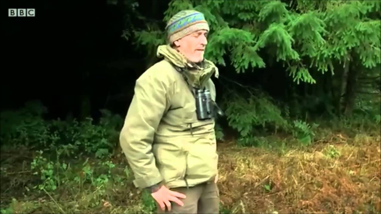 Common Frogs on Into The Wild With Gordon Buchanan (2016)