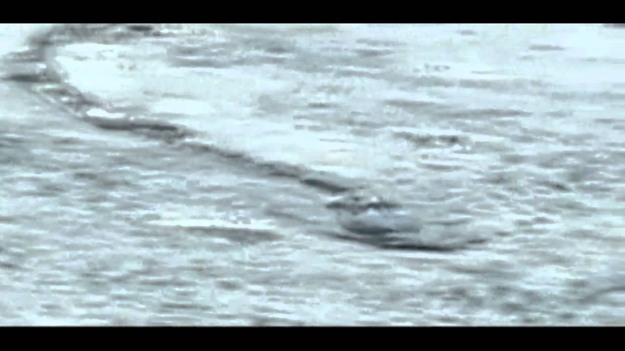 The Iceland Worm Monster (Lagarflj&oacute;ts Worm) Caught on Camera[Original]