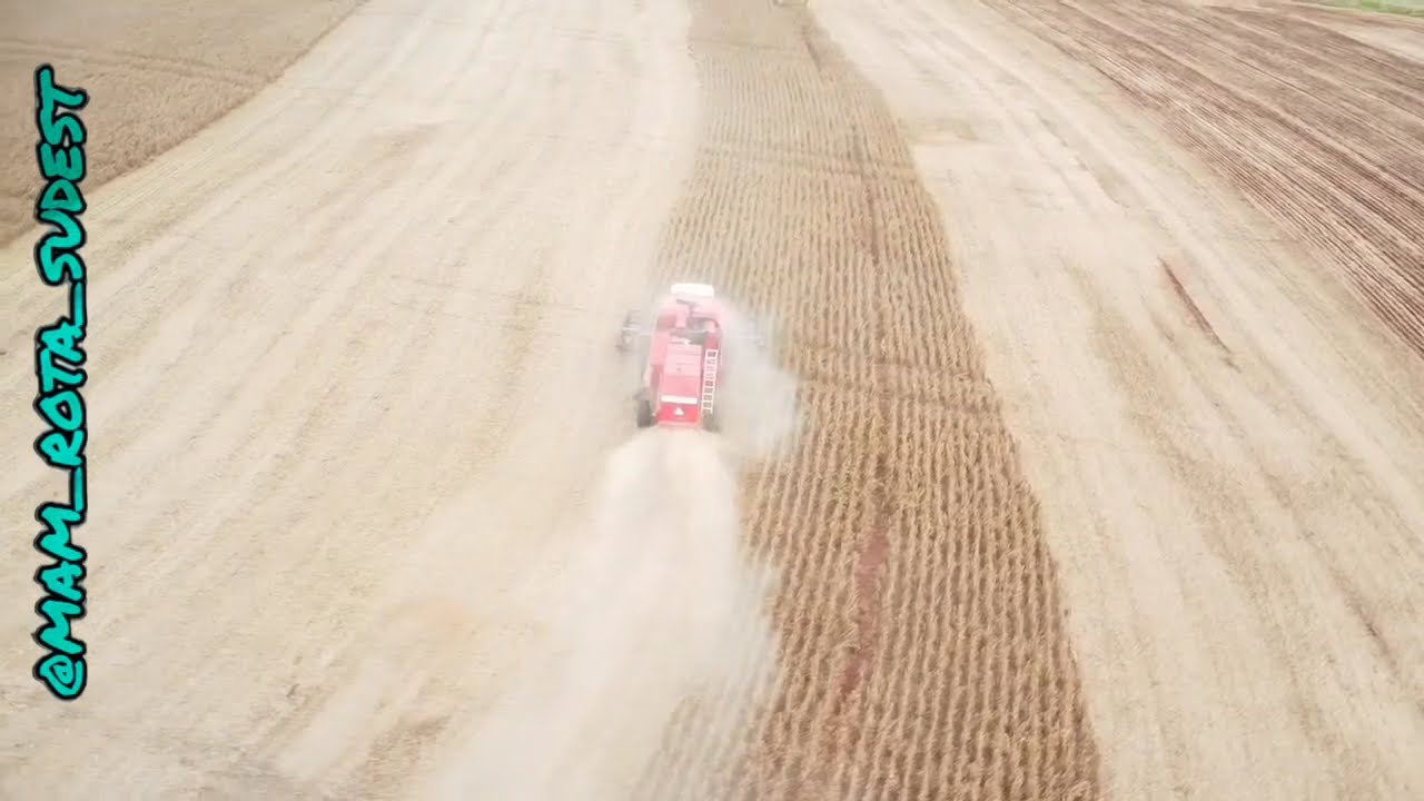 Colheita a todo vapor! 🚜🔥