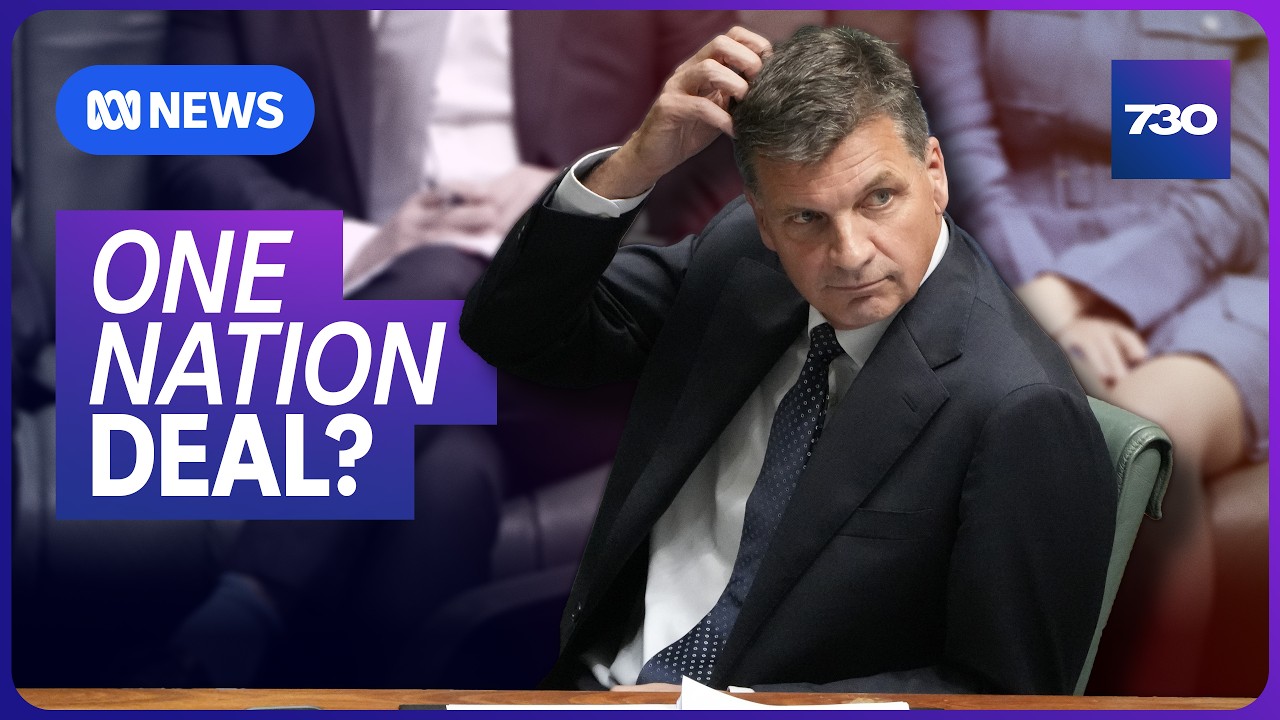 Will the Liberals do preference deals with One Nation? | 7.30