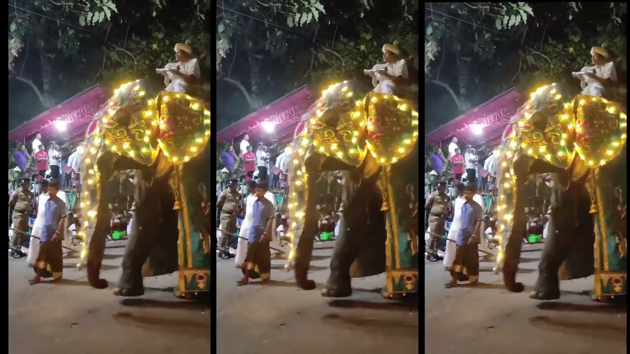 The Final Grand Randoli Procession of Kotte 2025 | කෝට්ටේ අවසන් මහා රන්දෝලි පෙරහැර 2025