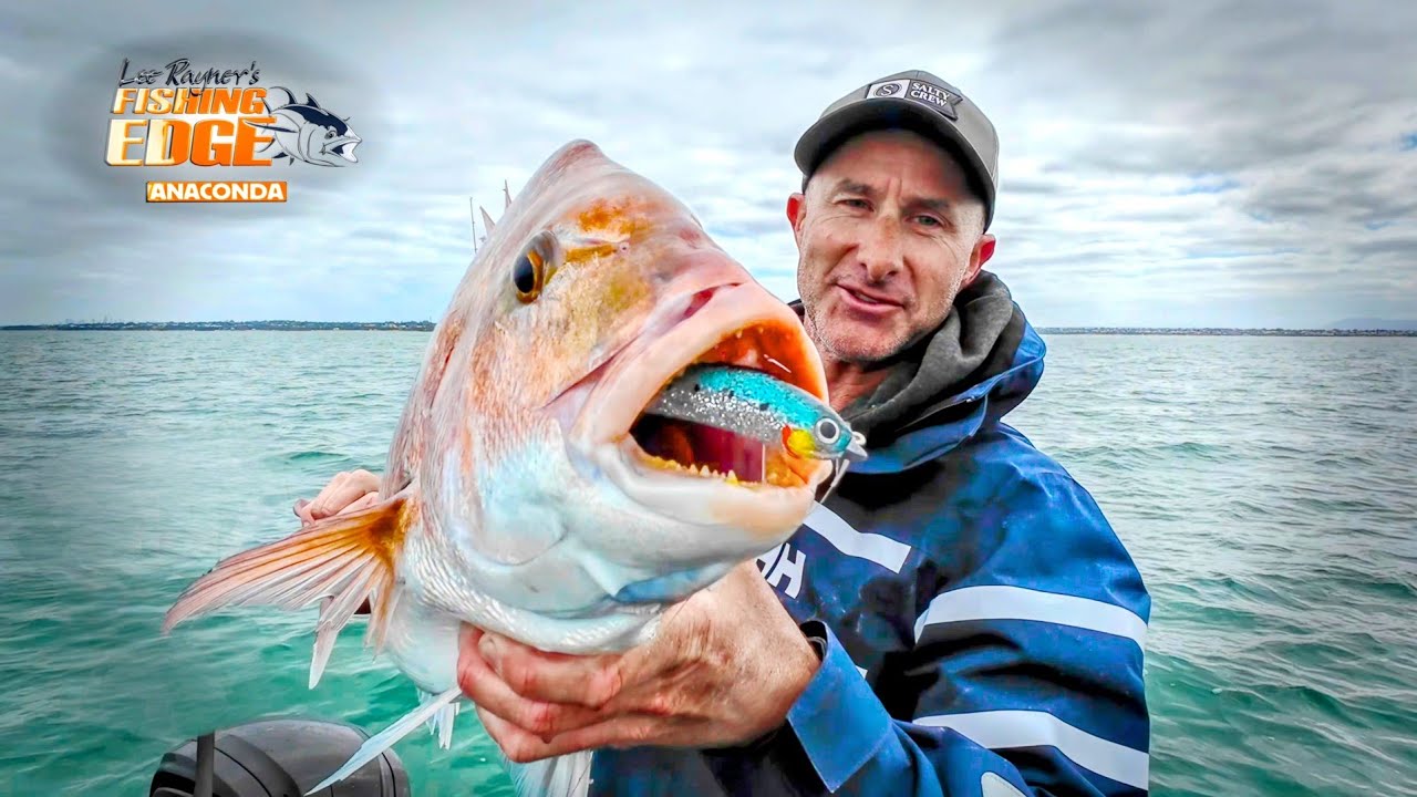 NEW Technique Is Deadly On Snapper - Drag n Roll Soft Plastics For Big Fish