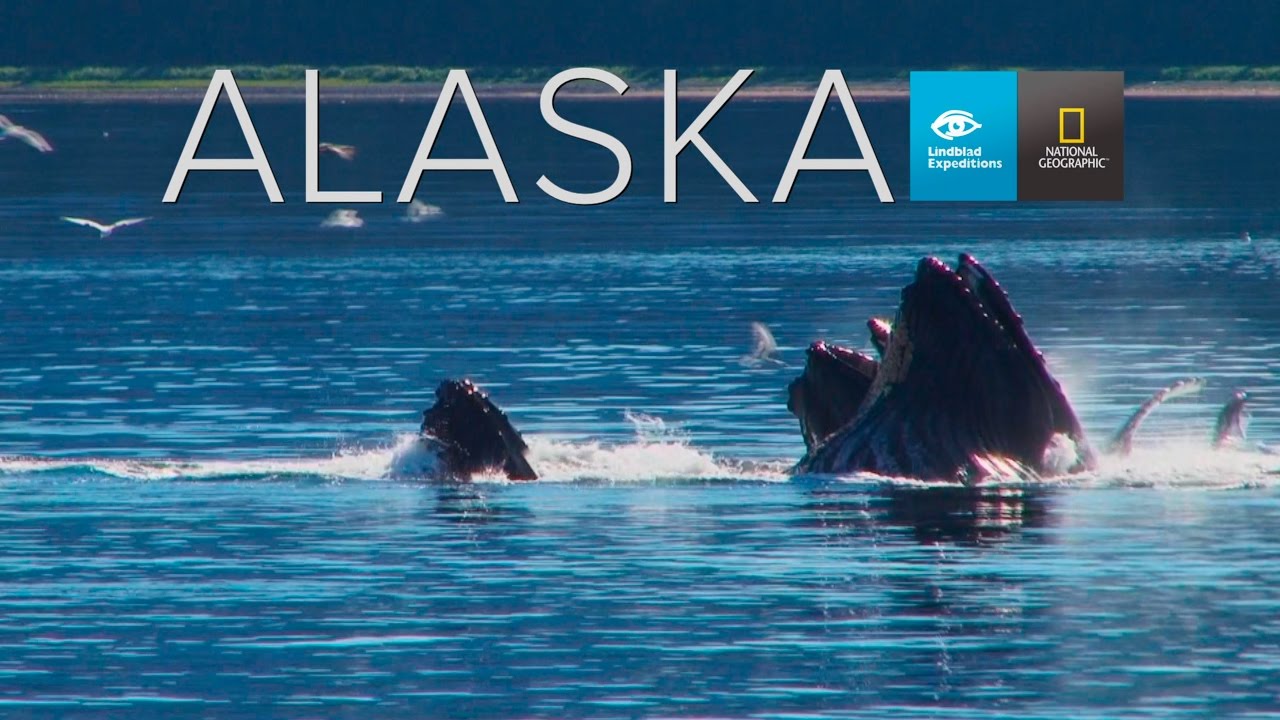 Alaska Expedition Overview