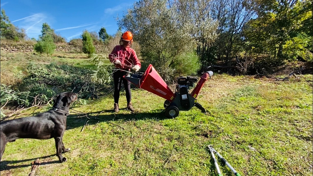 Living OFF-GRID on 1 Hectare of LAND in PORTUGAL