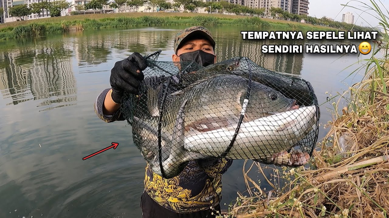 Mancing Ikan Bandeng Liar Strike Bertubi Tubi Sampai Jadi Tontonan Warga