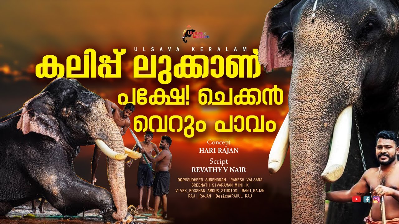 കലിപ്പ് ലുക്കാണ് പക്ഷെ ചെക്കൻ വെറും പാവം|Thiruvanikkavu Rajagopal-Subhash|Rajutan Rocks|EPI 51