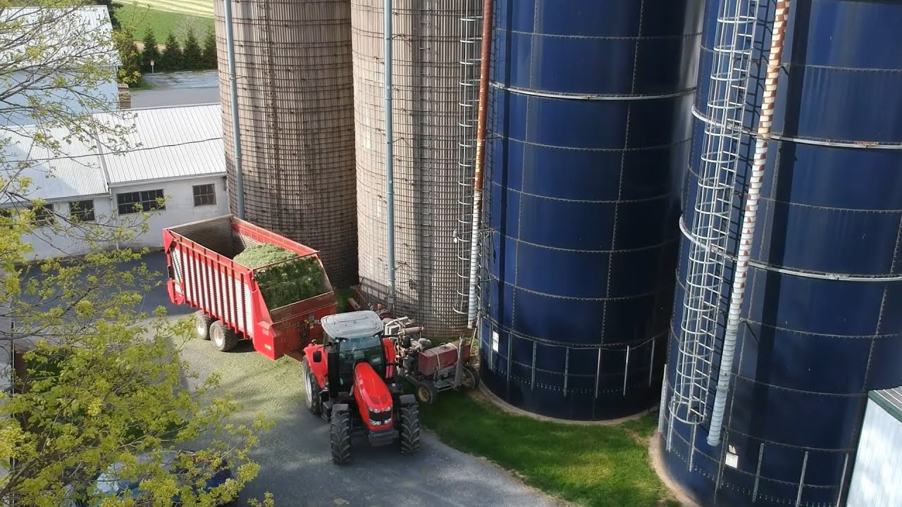 Rye Harvest Pt.2 | Chopping and Filling Silo