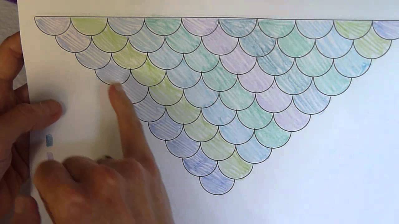 Scallops du Jour color options