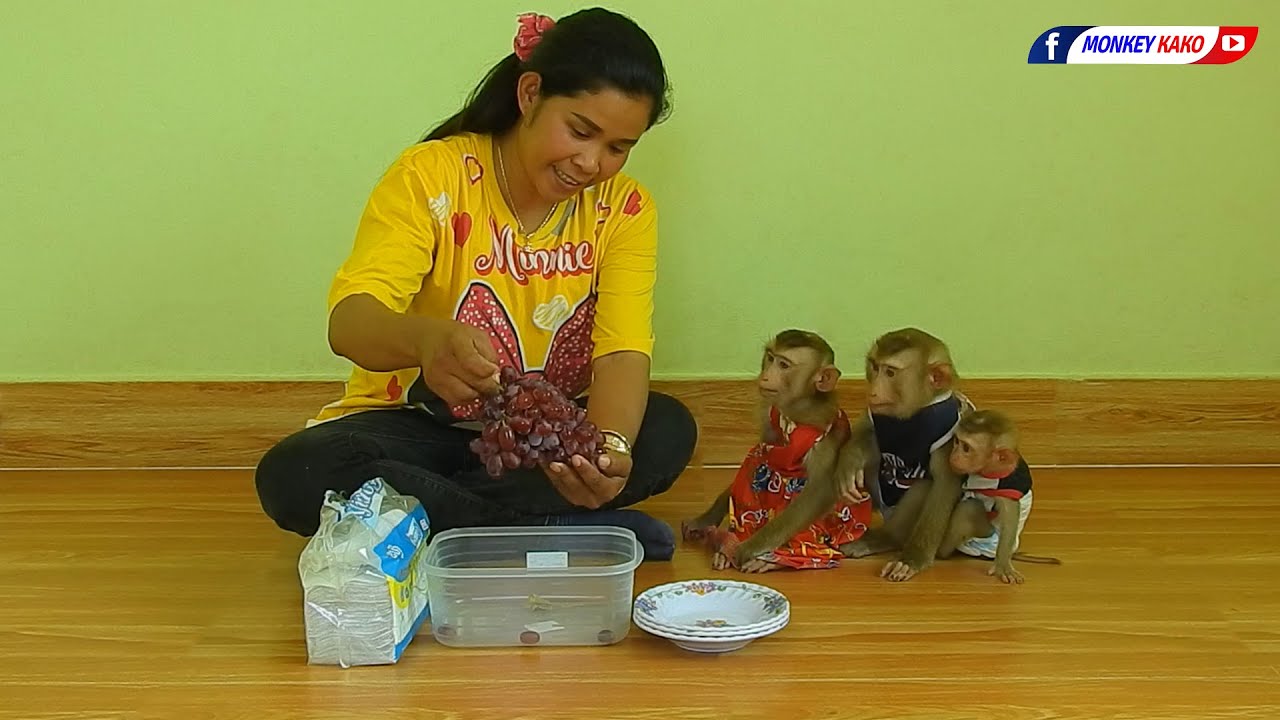 Brother Kako And Sister Luna With Tiny Olly Eating Sweet Grape Fruits