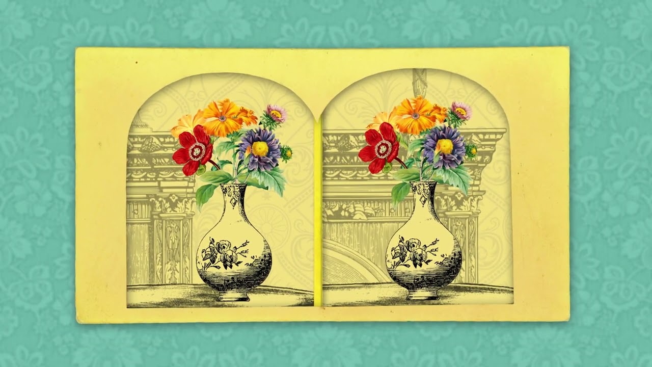 Victorian Virtual Reality: How does stereoscopy work?