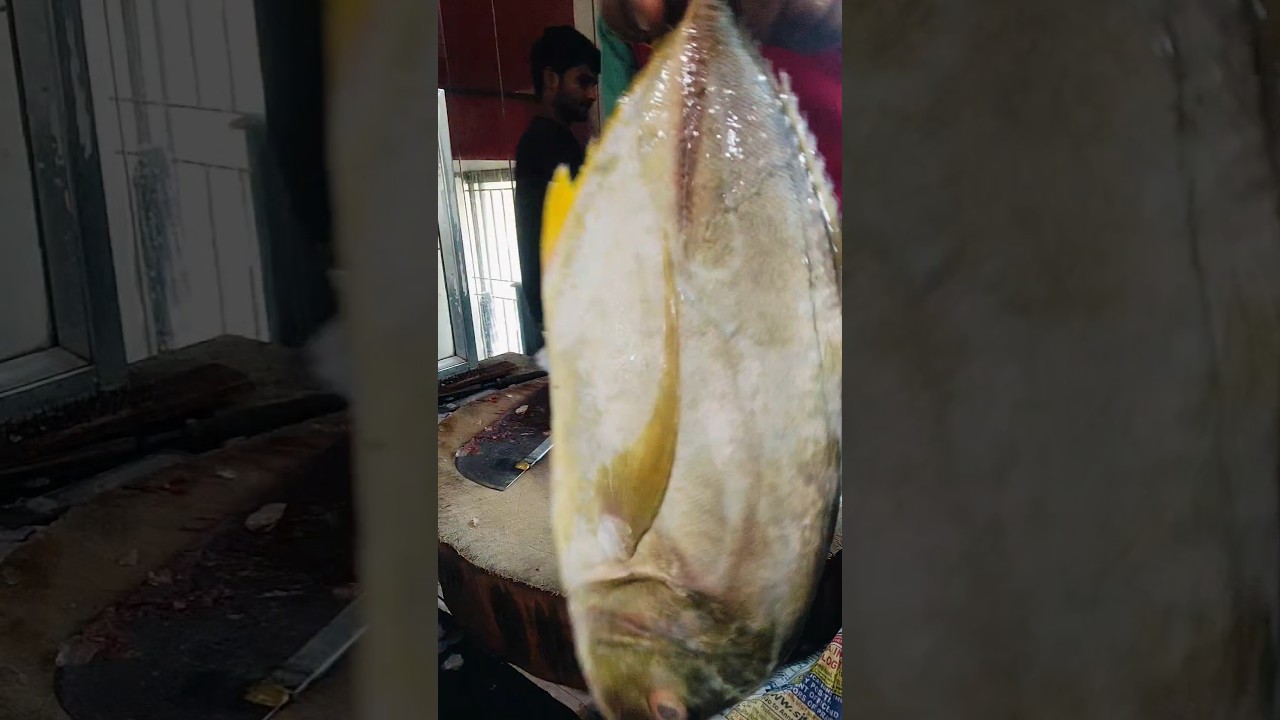 #travellyfishcutting  #maja para #vatta fish cutting #youtubeshorts #trending #food