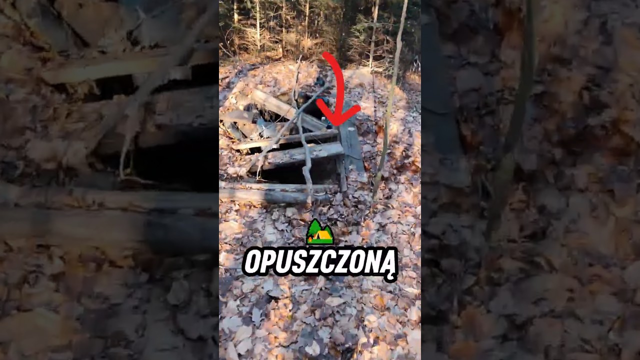 Wandale Zniszczyli Ziemiankę? 🏕️🗺️ Znalazłem Ziemiankę w Lesie! 😱 #bushcraft #biwakowanie #las