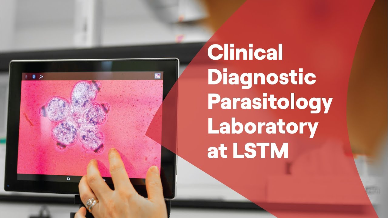 Clinical Diagnostic Parasitology Laboratory at LSTM