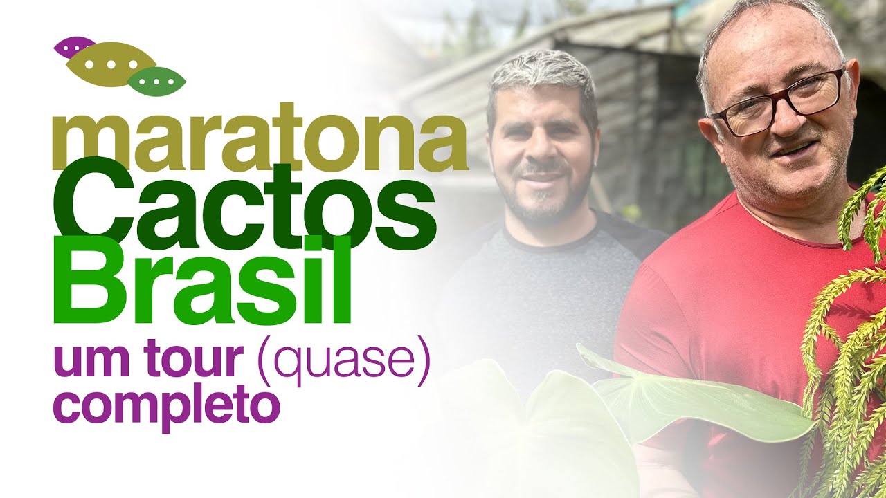 Um TOUR (Quase) TOTAL - MARATONA Cactos Brasil | Invasão Plantóide