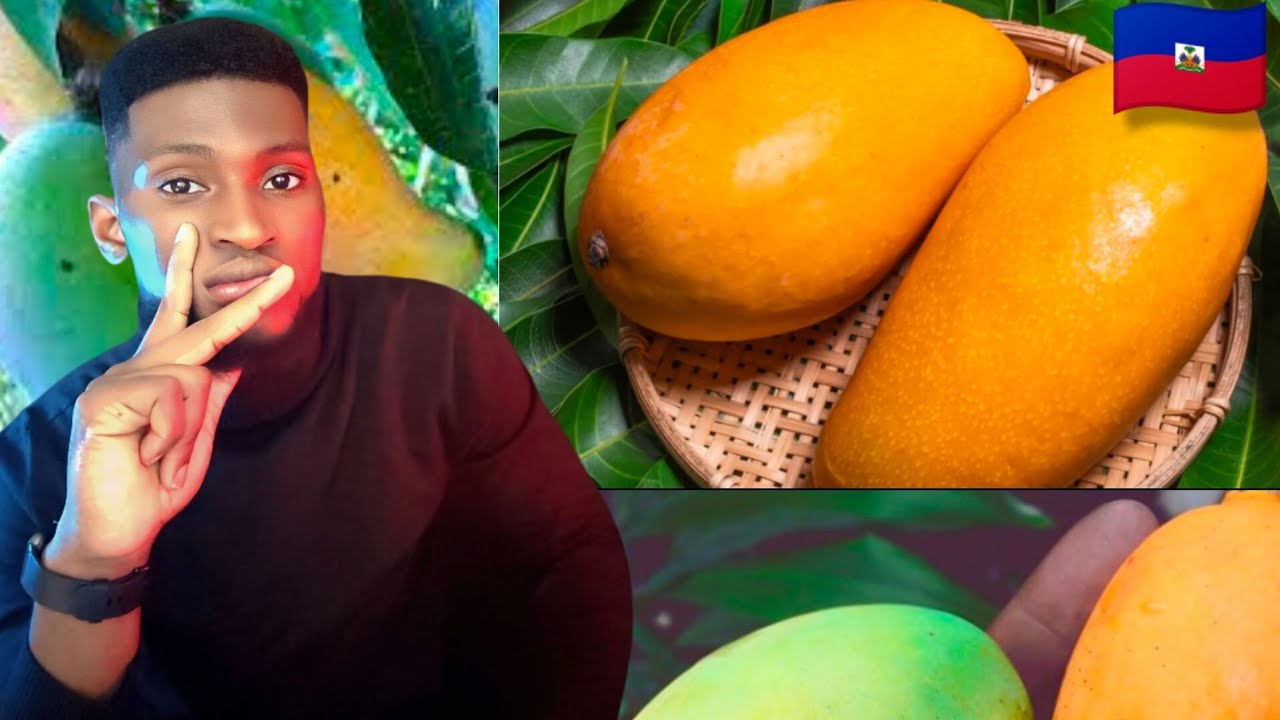 Lèw reve mango nan dòmi me kisa li reyèlman vledi 💯👌🥰