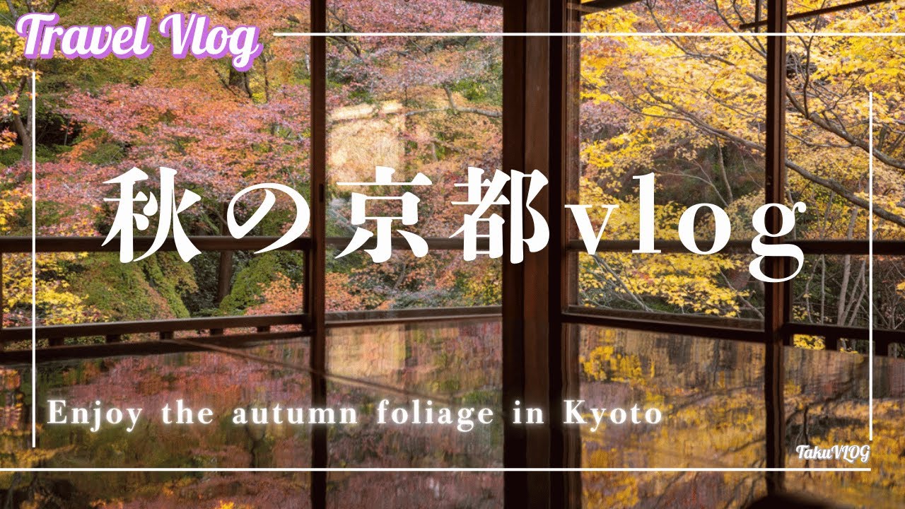 秋の紅葉ピークの京都vlog　京都から京丹後の冬の味覚カニ「蟹」まで大満喫！！