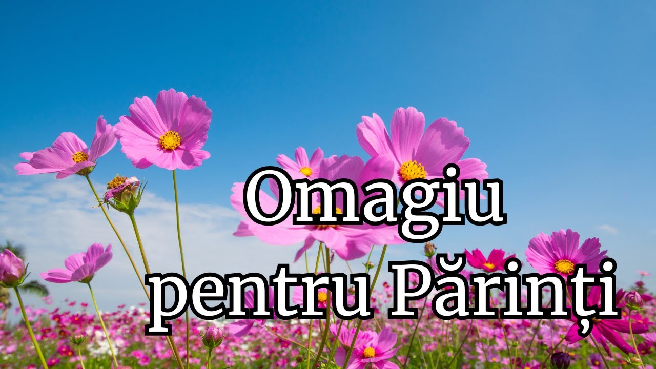 Omagiu pentru Părinți – Cântec de recunoștință și iubire veșnică | Dor & Ritm