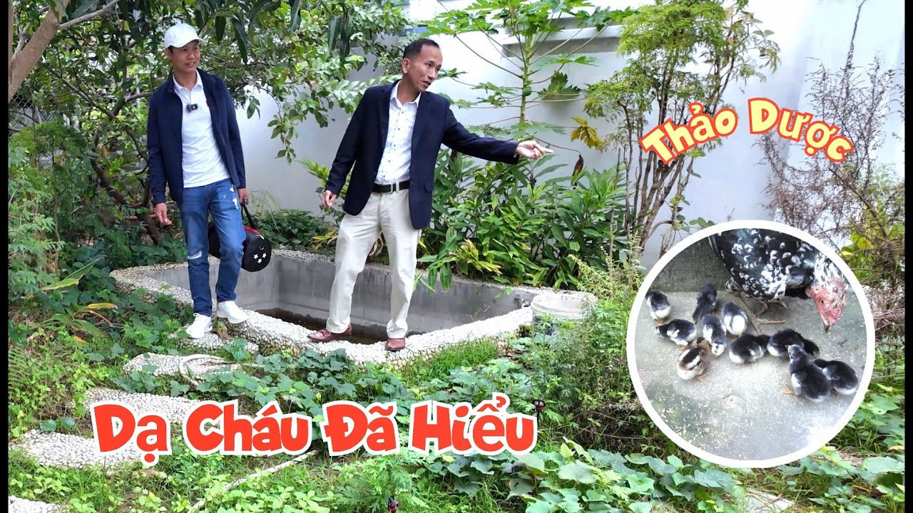 Quế Nghịch hỏi cách nuôi gà khỏe mạnh nhanh lớn và nhận thương hiệu Quế Nghịch TV