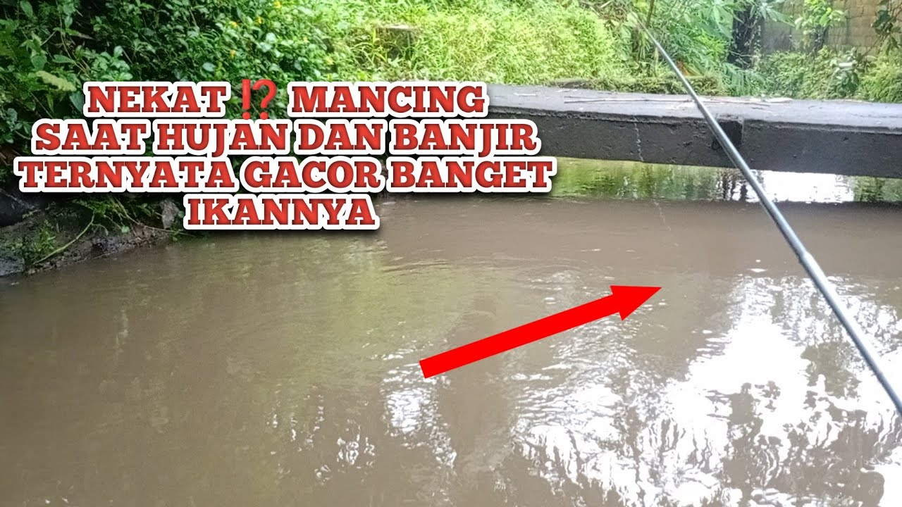 MANCING SAAT BANJIR DAN HUJAN TERNYATA GACOR BANGET IKANNYA ❗❗ INILAH SPOT MANCING PALING GACOR 