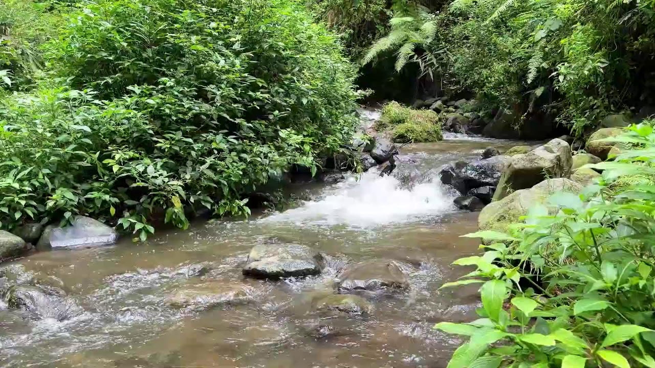 Relax your mind with calming river sound around soft flowing water for deeper healthy sleep