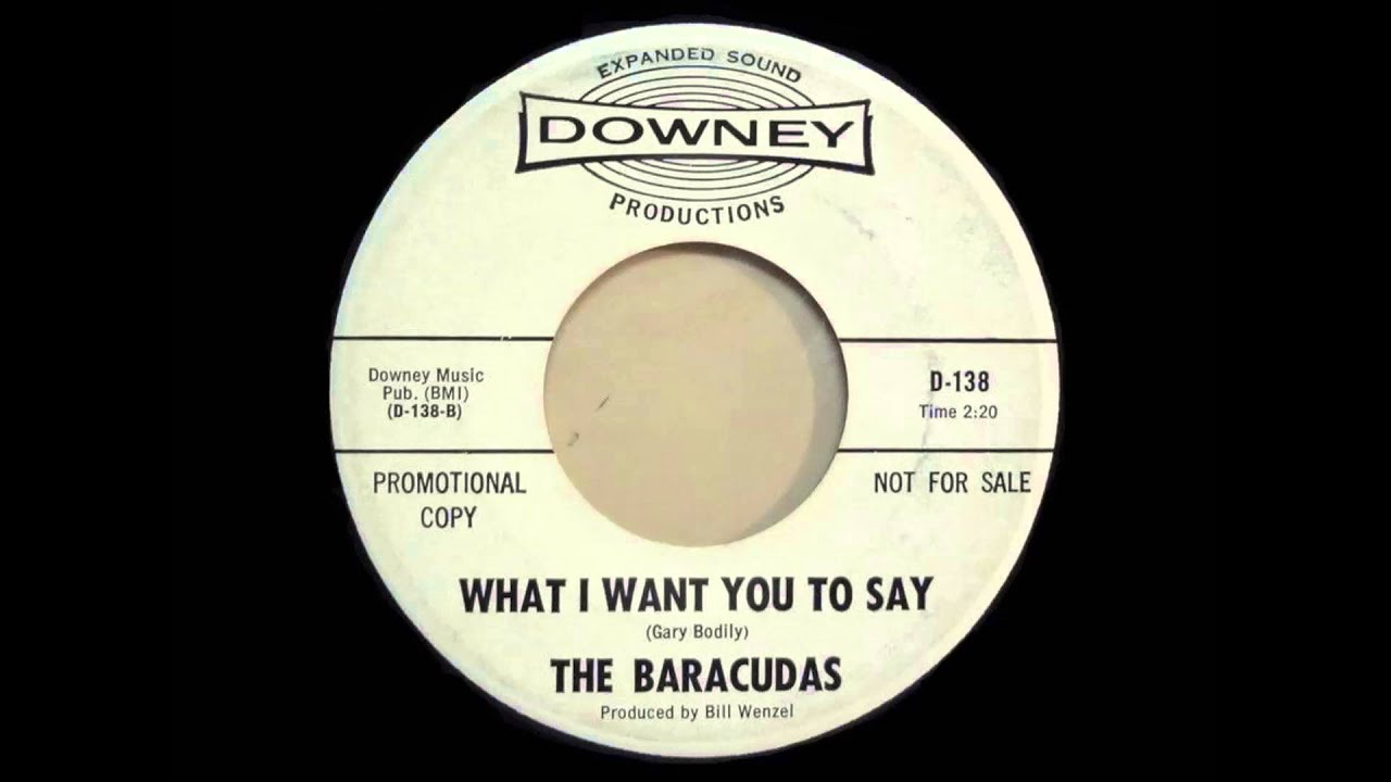 The Barracudas - What I Want You To Say