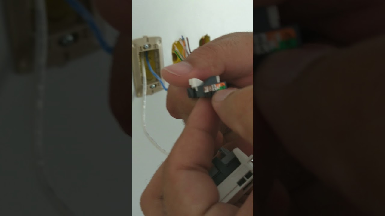 Conector RJ45 Pial Legrand