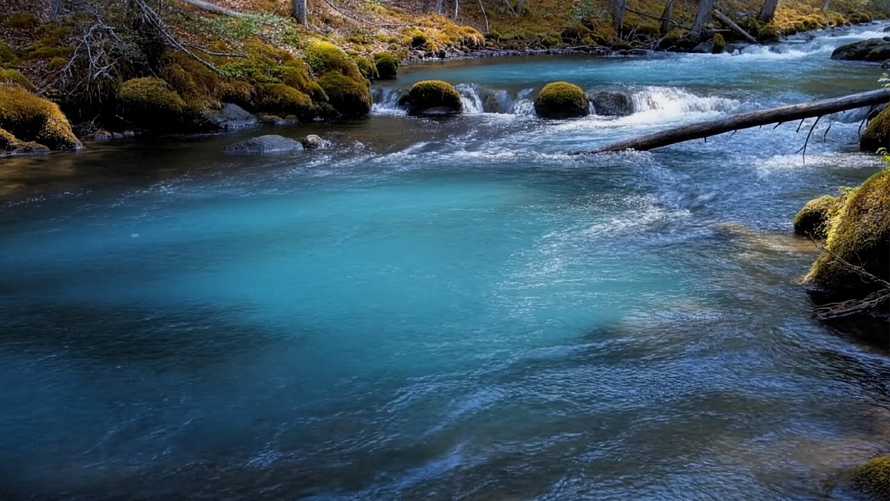 🌊 Peaceful River White Noise for Deep Focus | Nature Sound
