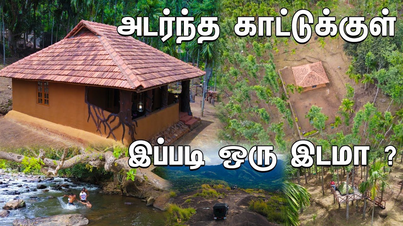 Курорт посреди густого леса всего за 1800 рупий с человека #munnar #marayoor #mudhouse