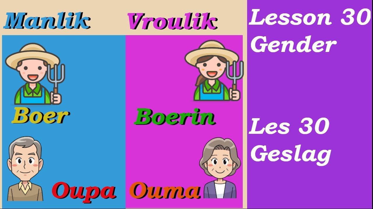 Learn Afrikaans for Beginners | Gender | Geslag |  Lesson 30