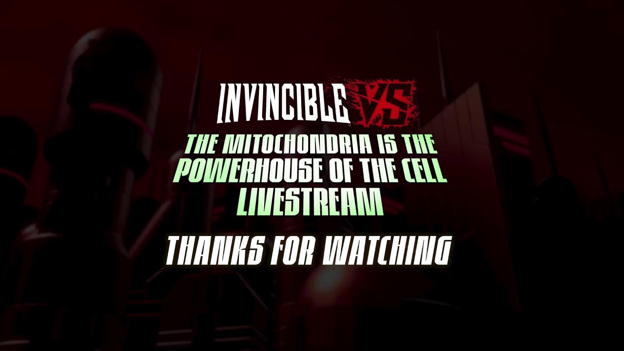 Invincible VS | Стрим разработчиков: Ангстрем Леви