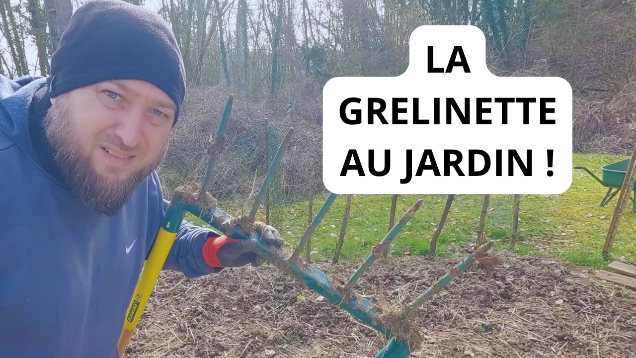 Comment Bien Utiliser la Grelinette au Potager ?
