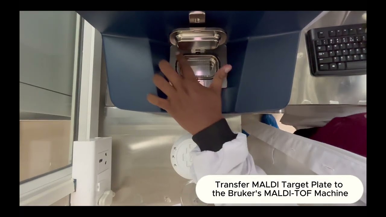 Bacteria and Yeast Identification Using Bruker MALDI-TOF MS | 