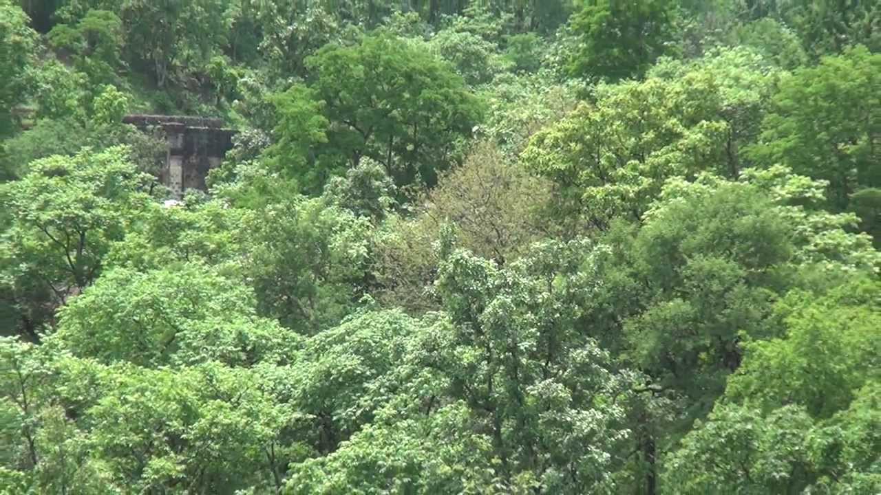 THICK FORESTS, NATURE & HUMAN CREATION AT THEIR BEST - DHARAKHOH - MARAMJHIRI GHATS IN MP, INDIA