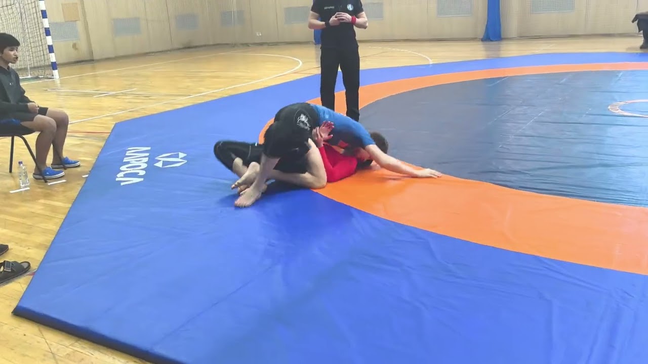 Гаврилла Черноголовка