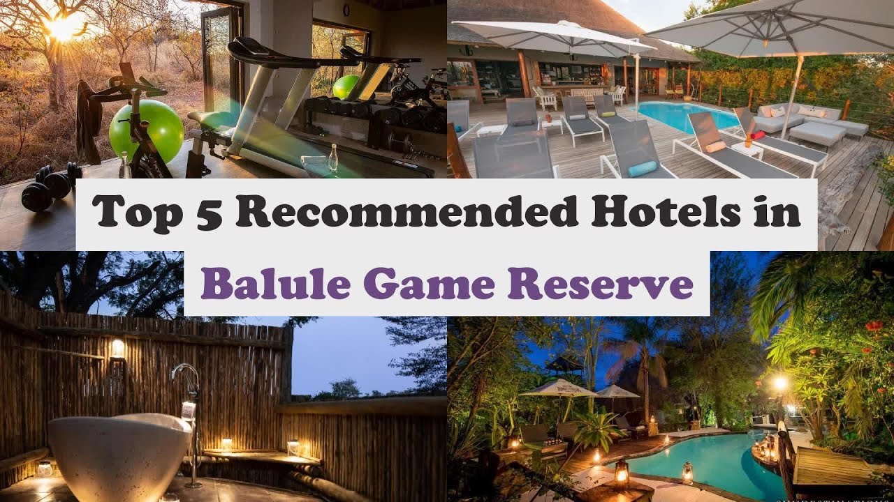 Top 5 Recommended Hotels In Balule Game Reserve | Luxury Hotels In Balule Game Reserve
