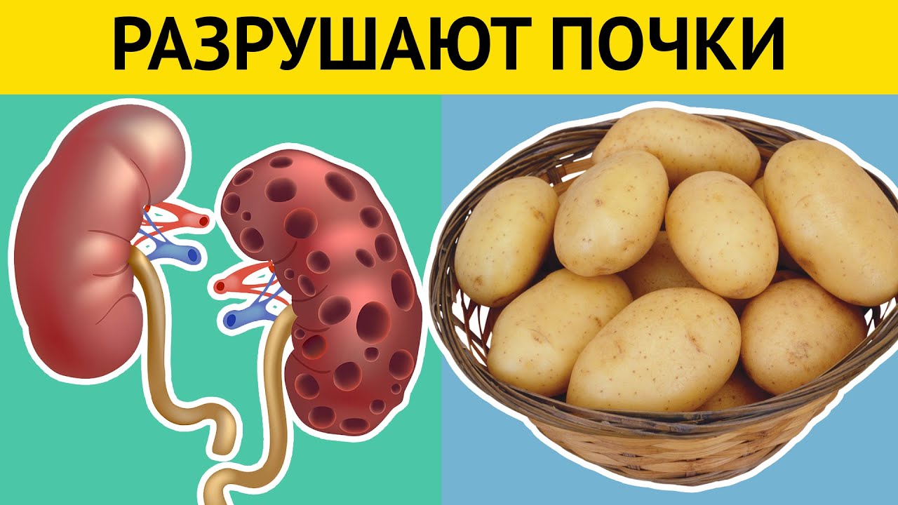 10 продуктов, разрушающих ПОЧКИ. +7 правил для здоровья почек