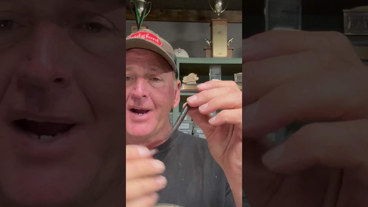 Best Plastic Worm Ever?