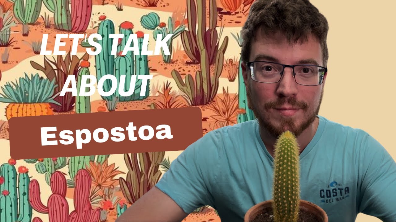 Let's Talk about Espostoa