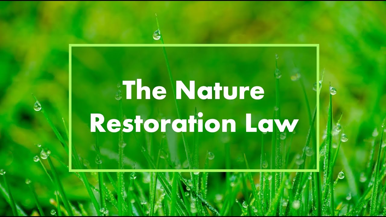 The Nature Restoration Law