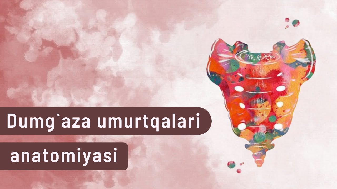 DUMG`AZA UMURTQALARI ANATOMIYASI - VERTEBRAE SACRALIS